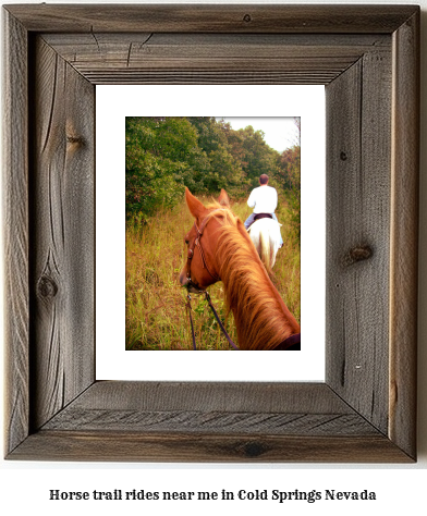 horse trail rides near me in Cold Springs, Nevada